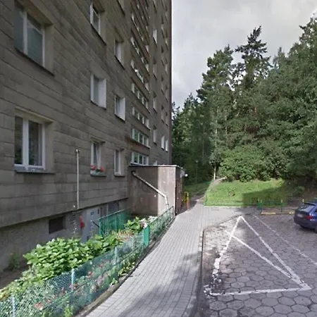 Green Forest Apartment